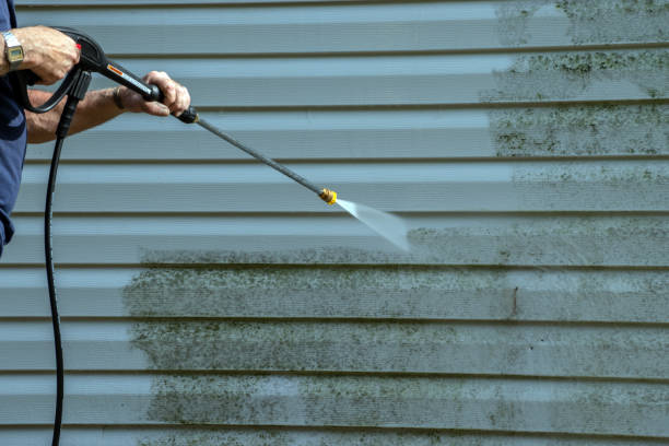 Best Sidewalk and Walkway Cleaning  in Lake Andes, SD